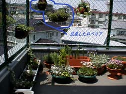 ���x���A