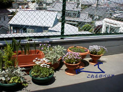 ���x���A