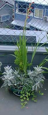 ���낽������