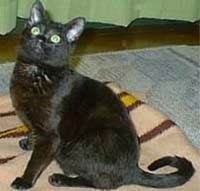 �܂������͍������L�ł�