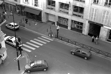 hana1.jpg (80841 �o�C�g)