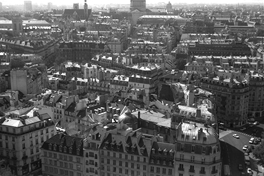 hana7.jpg (95923 �o�C�g)