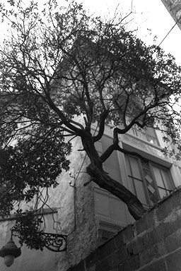 nanfutsu5.jpg (103313 �o�C�g)