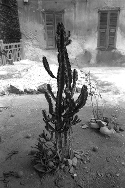 nanfutsu9.jpg (82321 �o�C�g)