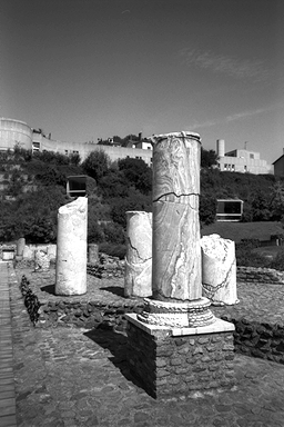 utage2.jpg (78990 �o�C�g)