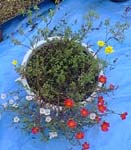 �|�[�`�����J