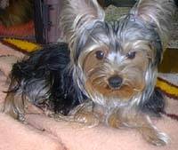 �낢�̓��[�N�V���e���A�̏����ł��B