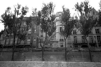 hana3.jpg (87557 �o�C�g)