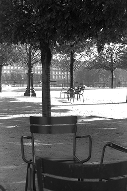 hana5.jpg (81171 �o�C�g)