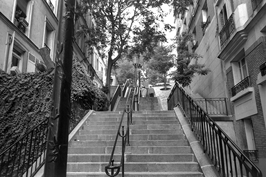 hana6.jpg (99009 �o�C�g)