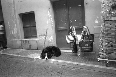 kyuusoku.jpg (71950 �o�C�g)