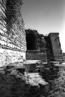 utage4.jpg (88530 �o�C�g)